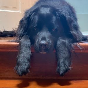 Meet your Posher, Patricia